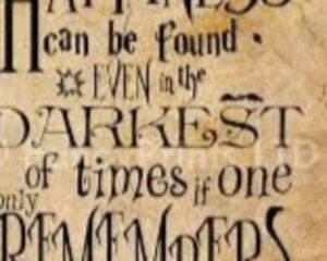 Meet your Posher, Dillon